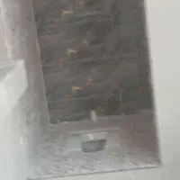 کاشی کاری وسنگ کاری|خدمات پیشه و مهارت|اهواز, منبع اب|دیوار