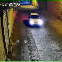 سگ اشپیتز گمشده. خیابان امام