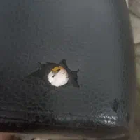 مبل هشت نفره|مبلمان خانگی و میز عسلی|ارومیه, |دیوار