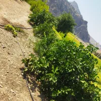 فروش خانه نو ساز با باغ