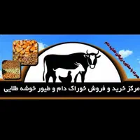 جو و ذرت اسیابی