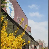 کتاب های تست کنکور تجربی