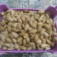 بادام درختی تازه