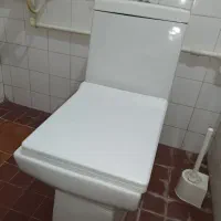 پمب آب پنتاکس و توالت فرنگی|مصالح و تجهیزات ساختمان|لاهیجان, خمیر کلایه|دیوار