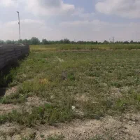 زمین فروشی گلمکان