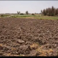 اجاره زمین کشاورزی