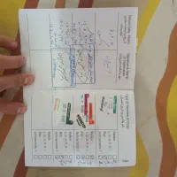 گربه نر۱ساله مهربان واگذاری رایگان|گربه|پردیس, فاز ۱|دیوار