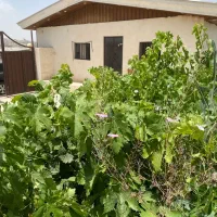 ۴۰۰ متر باغچه دماوند