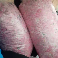 گلاب گیری گل محمدی گلاب عرقیات گلابگیری شراکت