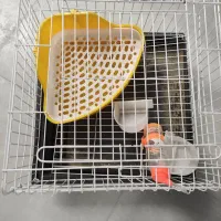 قفس خرگوش