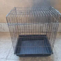 قفس عروس