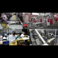 استخدام نیرو خانم و آقا