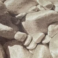 فرش|فرش|شاهرود, |دیوار