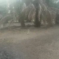 استخدام سرپرست کارگاه