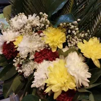 بادکنک آرایی،گل آرایی،عکاسی،فینگرفود|خدمات پذیرایی، مراسم|ری, دولتآباد|دیوار