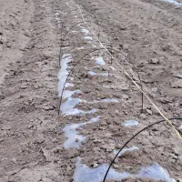 فروش میلگرد حرارتی برای گلخانه کشاورزی