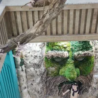 ادمین حرفه ای