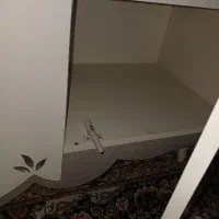 تی وی|بوفه، ویترین، کنسول|مشهد, آزادشهر|دیوار