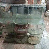 شیشه جا شکلاتی سوپر مارکت|فروشگاه و مغازه|قوچان, |دیوار