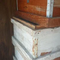 طبق کندو|لوازم جانبی حیوانات|خشت, |دیوار