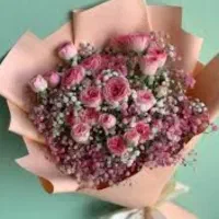 اجاره لاین زیبایی