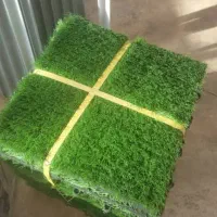 تایل چمن|مصالح و تجهیزات ساختمان|شاهینشهر, گرگاب|دیوار