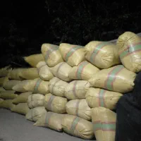 کاه عدس درجه یک