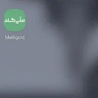 کسب درآمد با هر کدملی