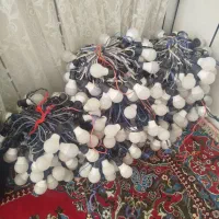 8 دسته ریسه