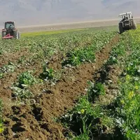 فروش ۱۱ هکتار زمین و ۲ هکتار باغ پسته جاده سروستان|فروش دفتر صنعتی، کشاورزی، تجاری|شیراز, کفترک|دیوار