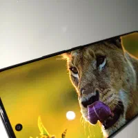 Xiaomi Redmi Note 14 Pro 5G 512GB 12GB|موبایل|قدس, شهرقدس|دیوار