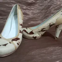 کفش مجلسی