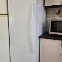 یخچال تمام فریزر الکترو استیل