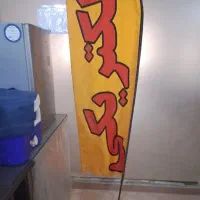پرچم ساحلی الکتریکی