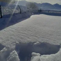 نصب و فروش ایزوگام و آسفالت