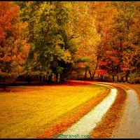 کار در کافی نت