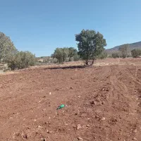 فروش فوری ۳/نیم هکتارزمین بهرجاده خرم آباد کوهدشت|فروش زمین و ملک کلنگی|کوهدشت, |دیوار