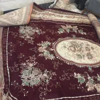 فرش ۱۲ متری|فرش|گرگان, |دیوار