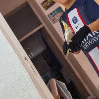 عروس هلندی گمشده