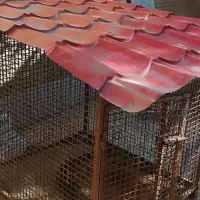 قفس و لانه حیوانات|لوازم جانبی حیوانات|فولادشهر, B2|دیوار