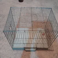 قفس پرنده