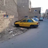 زمین-مسکونی-سند-تک-برگ-با-پروانه-همکف-بالا