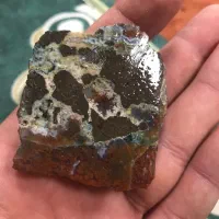 سنگ کلکسیونی شجر تراش نخورده