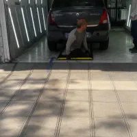 ال۹۰مدل۸۷ (E1)|خودرو سواری و وانت|مشهد, استاد یوسفی (شهرک غرب)|دیوار