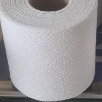 دستمال کاغذی (توالت)|مواد شوینده و دستمال کاغذی|تکاب, |دیوار