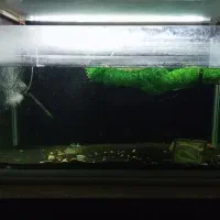 آکواریوم با تمام وسایل