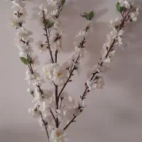 گل شکوفه مصنوعی|گل مصنوعی|تهران, تهرانپارس شرقی|دیوار