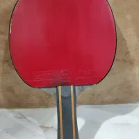 راکت پینگ پنگ|ورزش‌های توپی|شیراز, دباغ خانه|دیوار