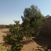 زمین باغی پر کاربردبا موقعیت عالی|فروش خانه و ویلا|شیراز, انجیره|دیوار