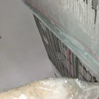 گچکاری|خدمات پیشه و مهارت|سیرجان, |دیوار